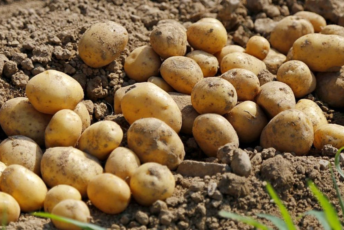  Минторговли и интеграции