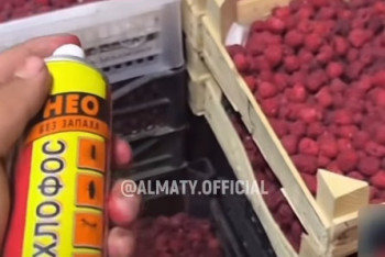 Фотография к новости: Ядовитая ягода: видео с дихлофосом разозлило казахстанцев