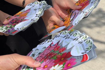 Фотография к новости: В Талдыкоргане раздавали семена для озеленения дворов и улиц