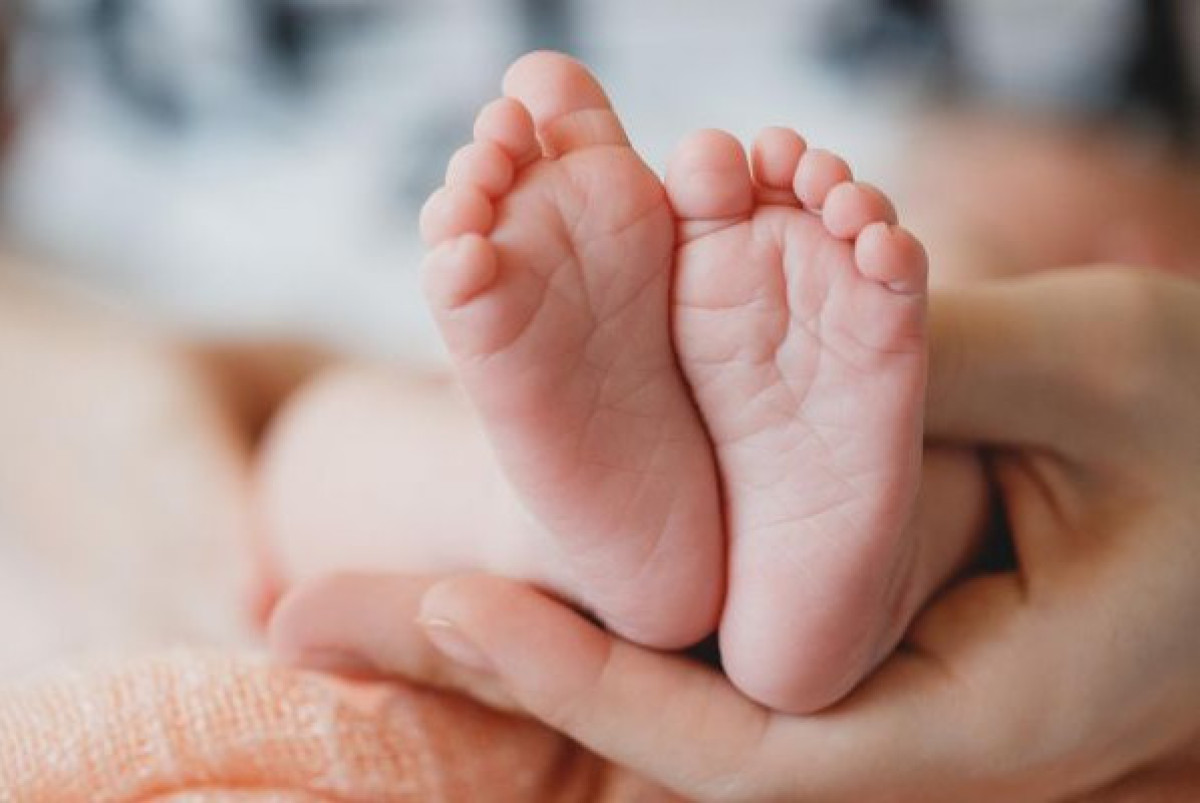  Holiak / ru.freepik.com