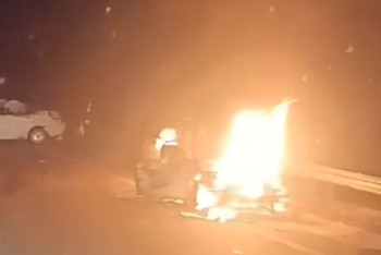 Фотография к новости: Жуткая авария в Акмолинской области: погибшие, горящее авто и мертвая лошадь