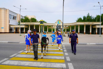 Фотография к новости: Юные инспекторы и пони провели самый милый рейд года
