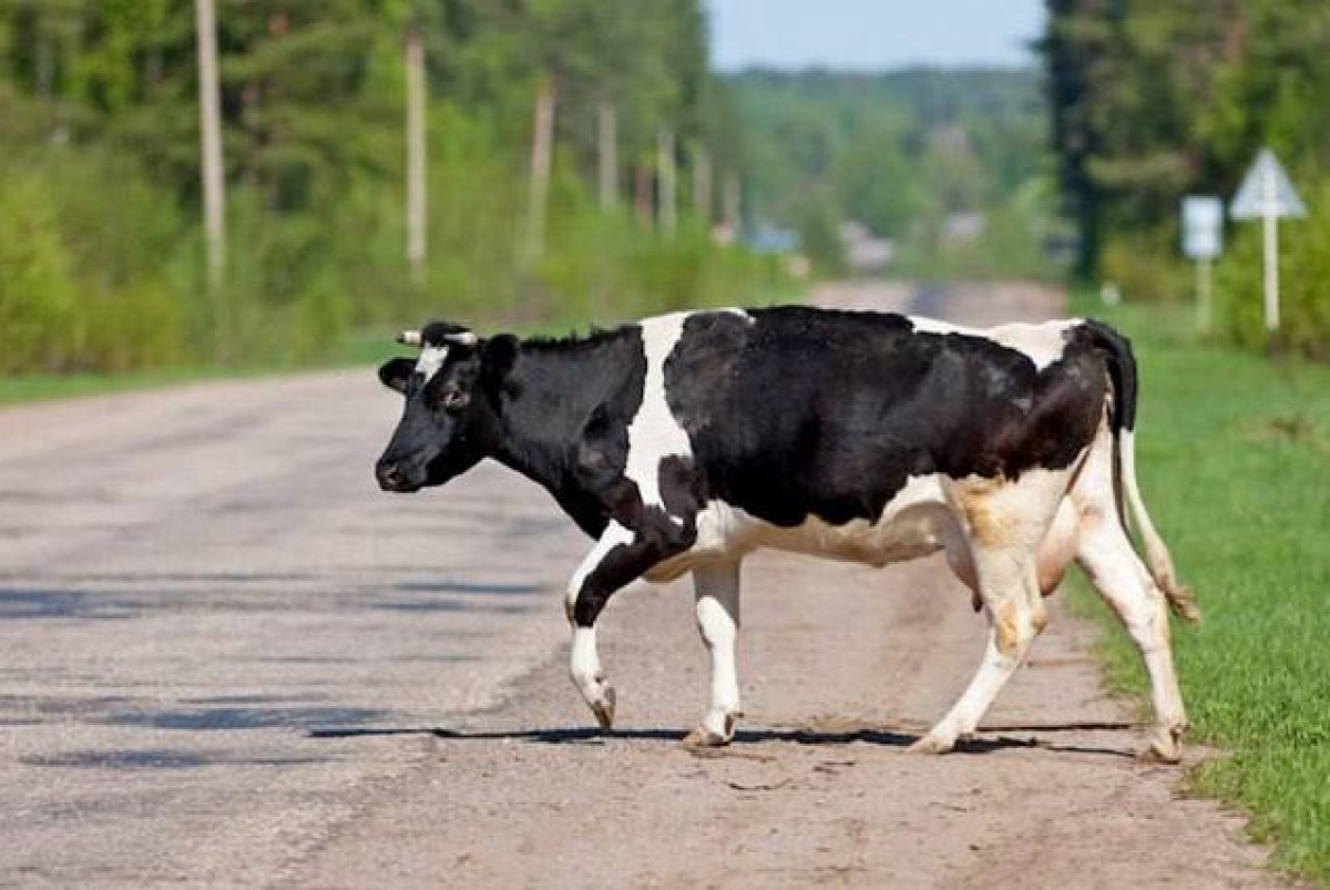  КазАвтоЖол