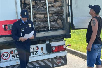 Фотография к новости: Нелегальные яйца из России пытались развезти по Казахстану