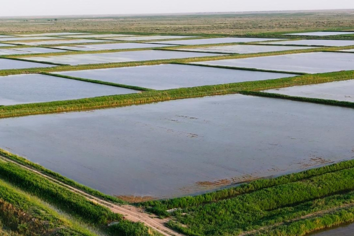  Министерство водных ресурсов и ирригации Республики Казахстан