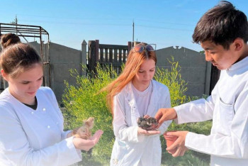 Фотография к новости: Павлодарские студенты выводят элитных птиц