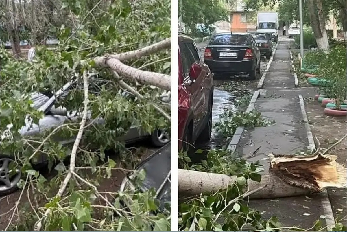  пресс-служба акима Павлодарской области