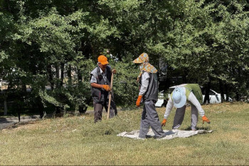 Фотография к новости: "Таза Қазақстан": шымкентцы активно участвуют в экоакции