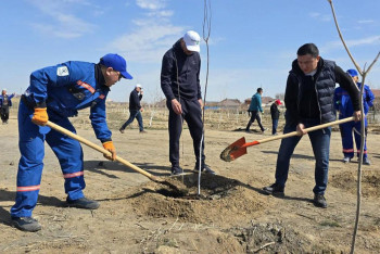 Фотография к новости: "Таза Қазақстан": два миллиона казахстанцев включились в масштабную экологическую акцию