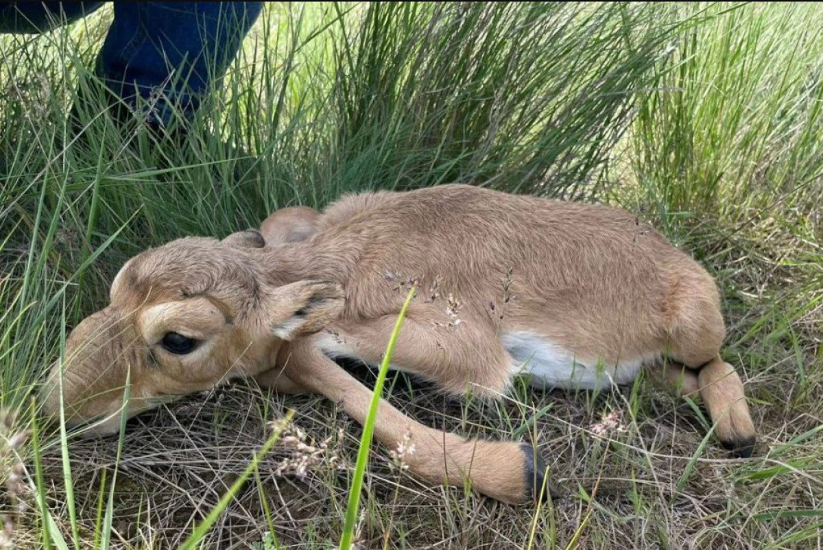  жители Жанибекского района ЗКО