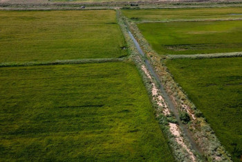 Фотография к новости: "Черный" рынок воды: полиция подключится к рейдам на полях
