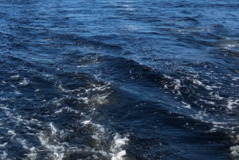 Фотография к новости: В Костанайской области построят отводной канал