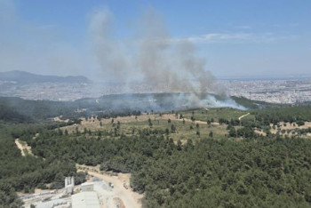 Фотография к новости: В Турции бушуют масштабные лесные пожары