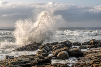 Фотография к новости: Частный пляж на Каспии признали незаконным