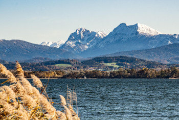 Фотография к новости: В Туркестанской области раскрыт масштабный водный беспредел