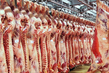 Фотография к новости: Экспорт мяса вырос вдвое: Казахстан переходит к переработке вместо сырья