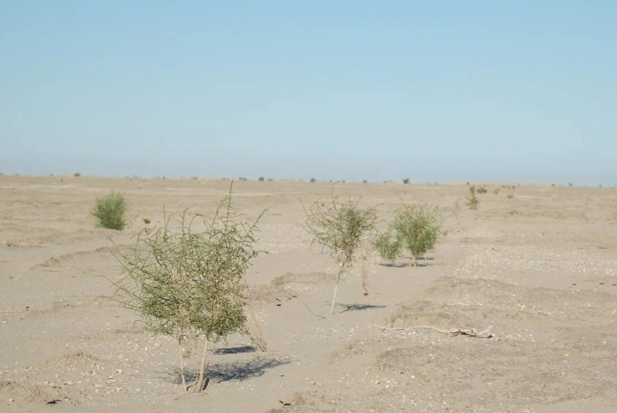  пресс-служба Минэкологии