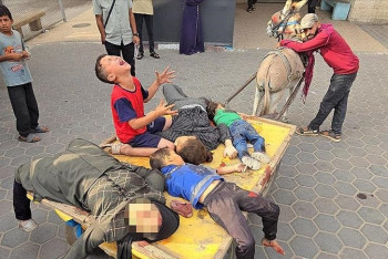 Фотография к новости: В секторе Газа погибли 28 человек, среди жертв  женщины и дети