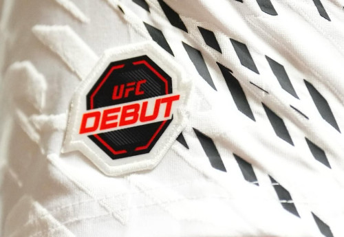 Фотография к новости: UFC в Казахстане: готова ли страна к турнирам?