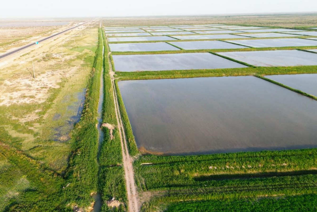  Министерство водных ресурсов и ирригации РК