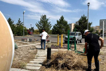 Фотография к новости: Молодёжь Талдыкоргана провела экологический субботник