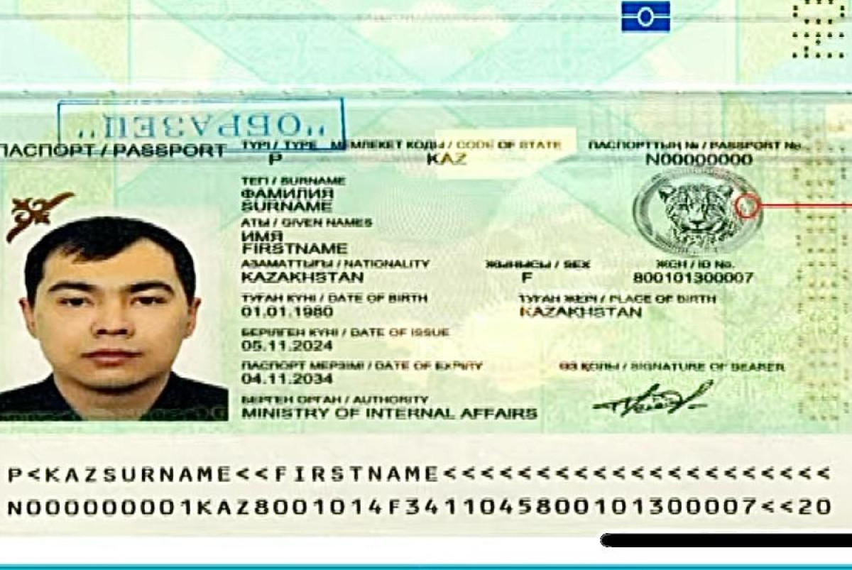  скрин с трансляции заседания правительства