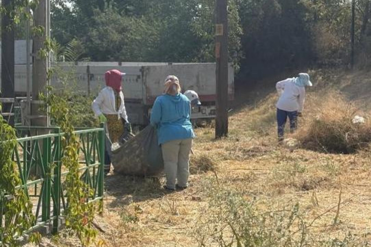  акимат Шымкента