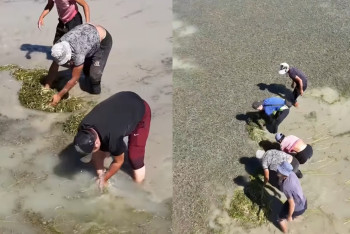 Фотография к новости: Уборку пляжа в Талдыкоргане назвали деревенским субботником