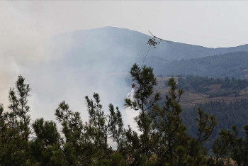 Фотография к новости: Новые удары по Газе унесли жизни мирных жителей