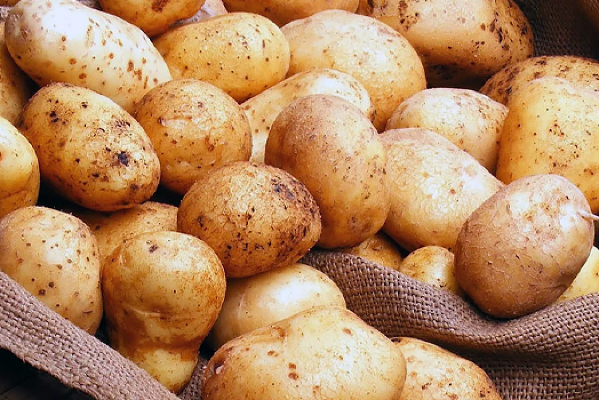  cgon.rospotrebnadzor.ru