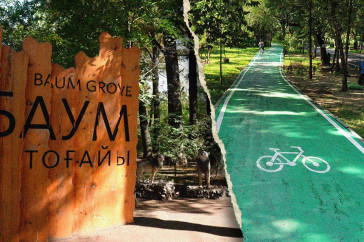 Фотография к новости: Роща Баума: между заботой и угрозой. Что хотят сделать с "легкими" Алматы