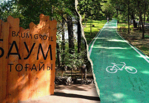 Фотография к новости: Роща Баума: между заботой и угрозой. Что хотят сделать с "легкими" Алматы