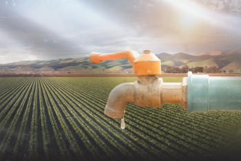 Фотография к новости: Южные регионы на грани: как Казахстан справляется с дефицитом воды