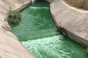 Фотография к новости: Река позеленела: в Алматы расследуют загадочный слив в Каргалы