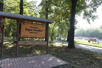 Фотография к новости: Оживить природный памятник: алматинцам представили проект благоустройства рощи Баума