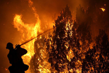 Фотография к новости: Дроны и яблони Сиверса должны спасти горы Алматы от пожаров – эколог