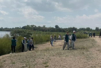 Фотография к новости: 60 волонтёров очистили берег водоёма под Шахтинском