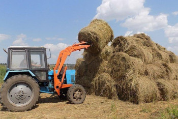 Фотография к новости: Минсельхоз: Более 20 миллионов тонн кормов заготовлено в Казахстане