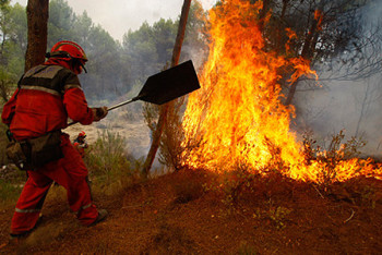 Фотография к новости: В Испании эвакуировали около 6 тысяч человек из-за лесных пожаров