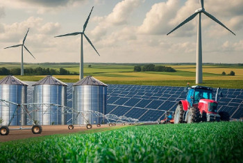 Фотография к новости: В какую отрасль Казахстана инвестируют чаще всего: лидеры за январь-июль 2025 года