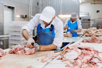 Фотография к новости: Дефицита мяса в Казахстане не будет — Минсельхоз