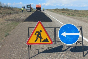 Фотография к новости: Останки обнаружили при ремонте дороги в Павлодарской области