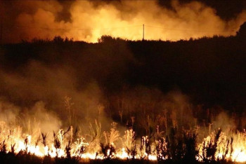 Фотография к новости: Испания и Португалия переживают самые мощные пожары за всю историю