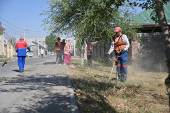 Фотография к новости: Шымкент поддержал "Taзa Қазақстан" с размахом