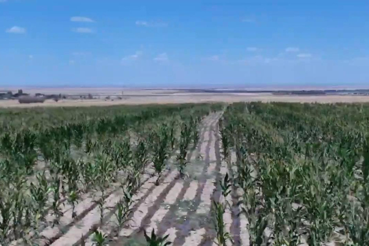  Министерство водных ресурсов и ирригации