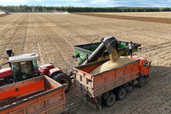 Фотография к новости: Уборочная кампания в Казахстане: первые 2,4 млн тонн зерна уже в закромах