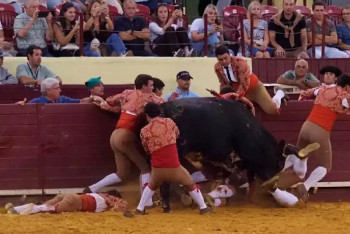 Фотография к новости: В Португалии бык насмерть забил 22-летнего участника корриды
