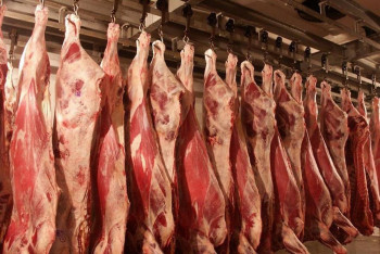 Фотография к новости: От мяса до молока: Казахстан запускает новые поставки в 15 стран мира