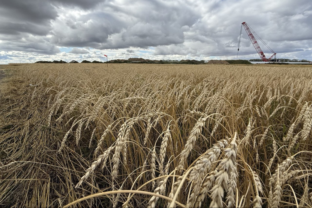  Аскар Кенжетаев.