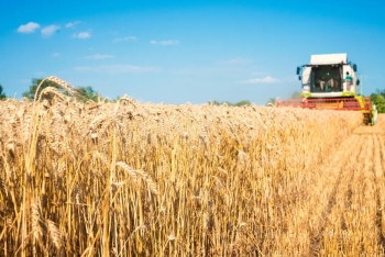 Фотография к новости: Сельхозперепись продлили в Казахстане